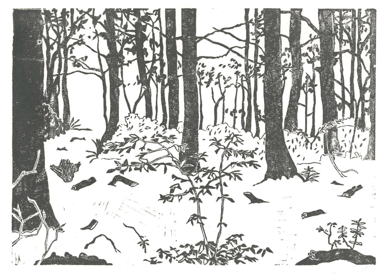 6FORET2019 (2)